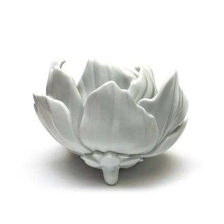 Moonflower by Yoskay Yamamoto