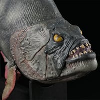 Piranha Prop Replica Model ( Fiberglass version) with walnut display stand