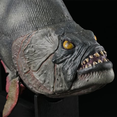 Piranha Prop Replica Model ( Fiberglass version) with walnut display stand