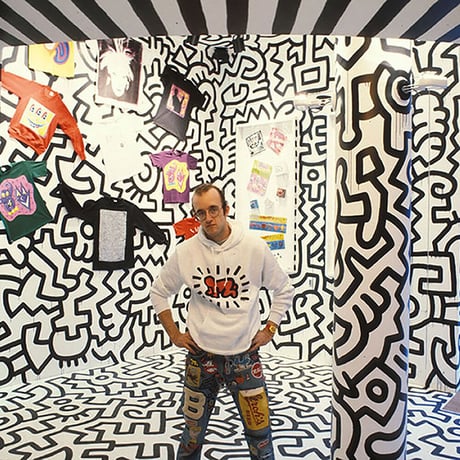 Keith Haring Dunny Mini Series