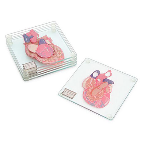 Anatomic Heart Specimen Coasters