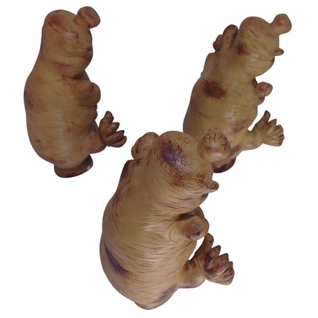 Just-harvested Stinky Ginger by Hisashi Futamura x Chris Ryniak