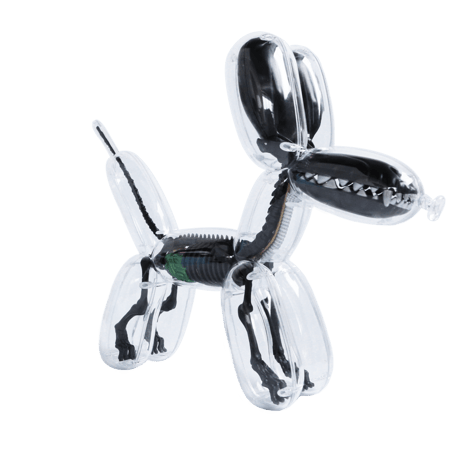 Metallic Black Balloon Dog Anatomy by Jason Freeny