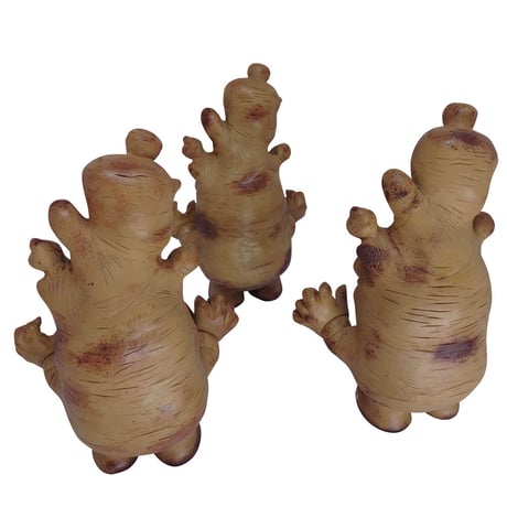 Just-harvested Stinky Ginger by Hisashi Futamura x Chris Ryniak