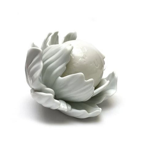 Moonflower by Yoskay Yamamoto
