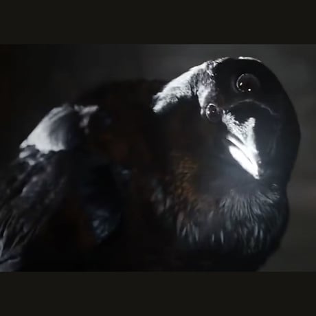 Game of Thrones 3-Eyed Raven 11-Inch Plush