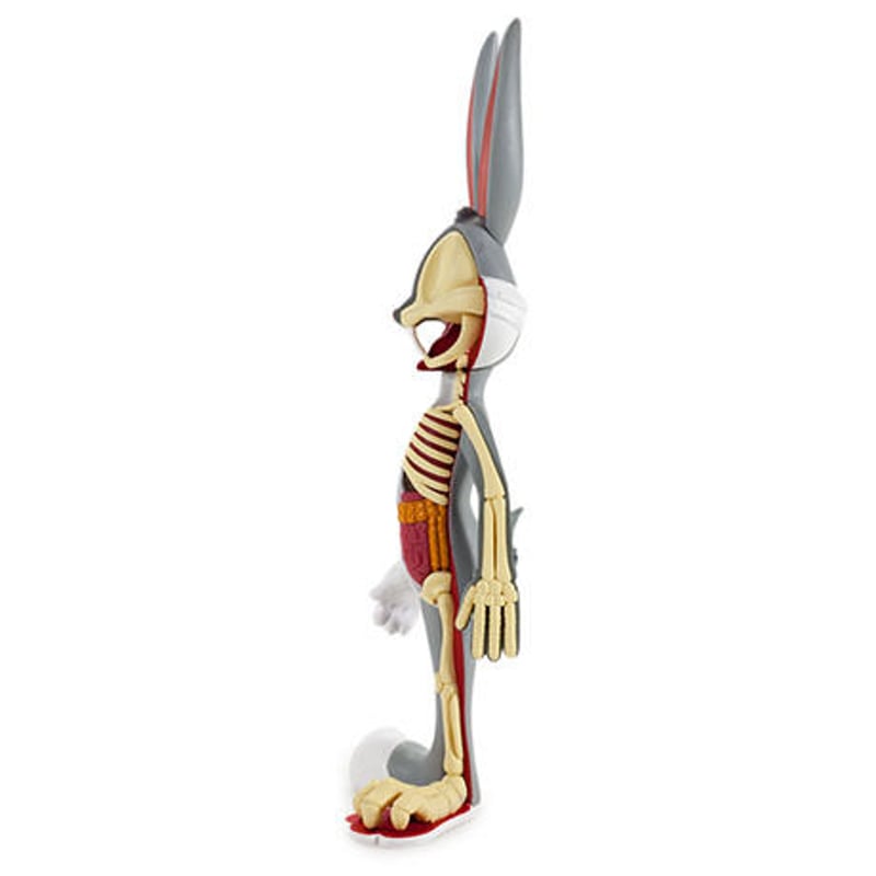 Anatomical Bugs Bunny By Jason Freeny | tomenosuke