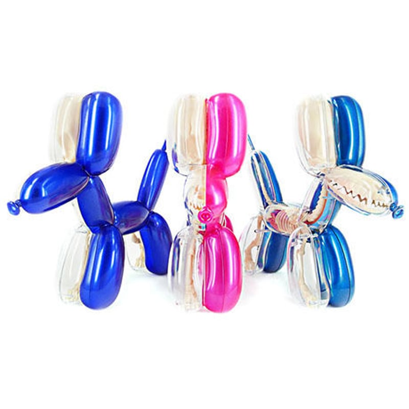 Metallic Balloon Dog Funny Anatomy by Jason Fre