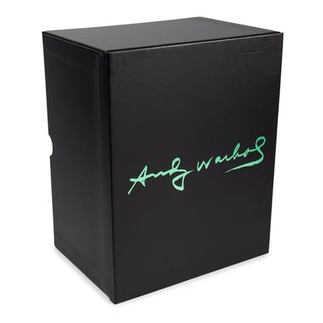 Warhol 8" Dunny Masterpiece-TV
