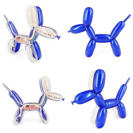 Metallic Balloon Dog Funny Anatomy by Jason Freeny