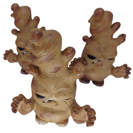 Just-harvested Stinky Ginger by Hisashi Futamura x Chris Ryniak