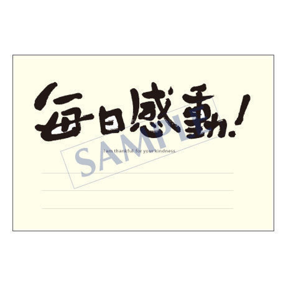 5385ab513e7a4a29a6000001