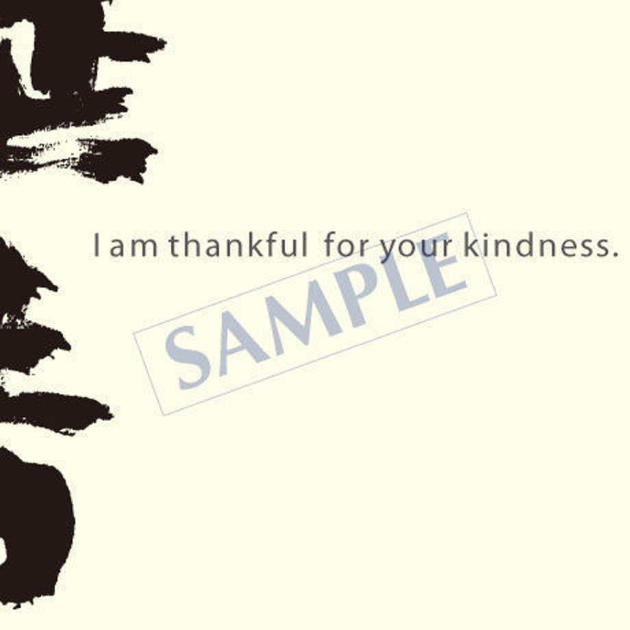 538550ab3e7a4ae5ed000105