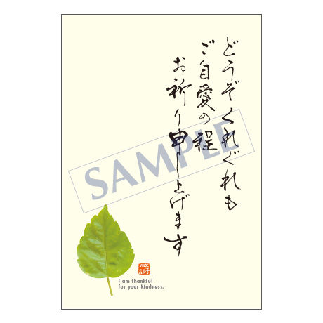 メッセージカード　出会い・感謝・お祝い・ご挨拶　11-0498　1セット（10枚）