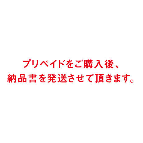 プリペイドチャージ（20,600円分）