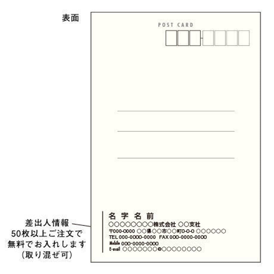 5462078a86b1885919000393