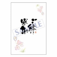 メッセージカード　出会い・感謝・お祝い・ご挨拶　06-0164　1セット（10枚）