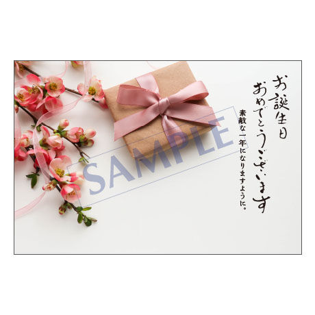 メッセージカード／バースデー／23-1034／1セット（10枚）