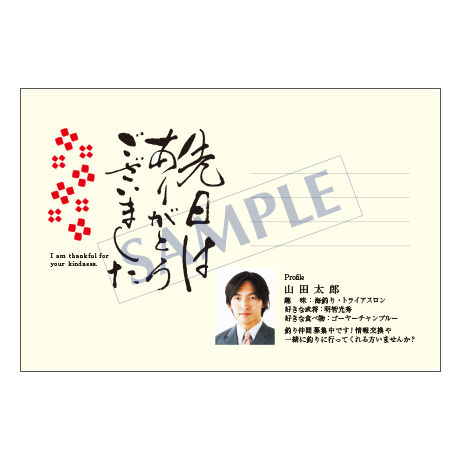 メッセージカード／プロフィール／20-0908／1セット（50枚）