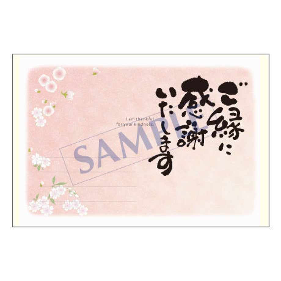 5385be6b236a1e9234000027
