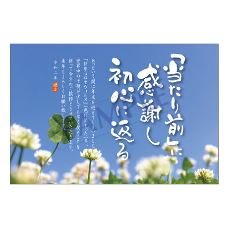 メッセージカード／年末便り／20-0957／1セット（10枚）