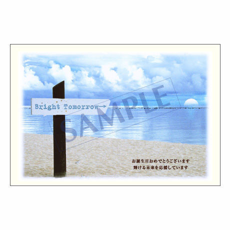 メッセージカード　バースデー　11-0523　1セット（10枚）