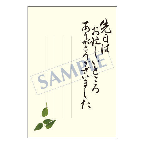 メッセージカード　出会い・感謝・お祝い・ご挨拶　11-0494　1セット（10枚）