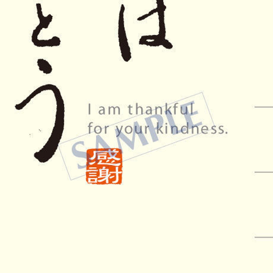 5385c4ae236a1e483300005d