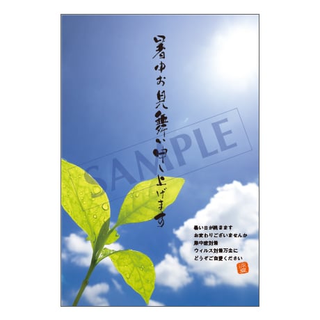 メッセージカード／暑中見舞い／24-1076／1セット（10枚）