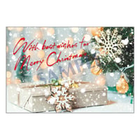 メッセージカード／クリスマスカード／21-0988／1セット（10枚）