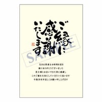 メッセージカード　出会い・感謝・お祝い・ご挨拶　06-0163　1セット（10枚）