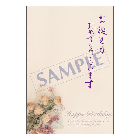 メッセージカード／バースデー／23-1041／1セット（10枚）