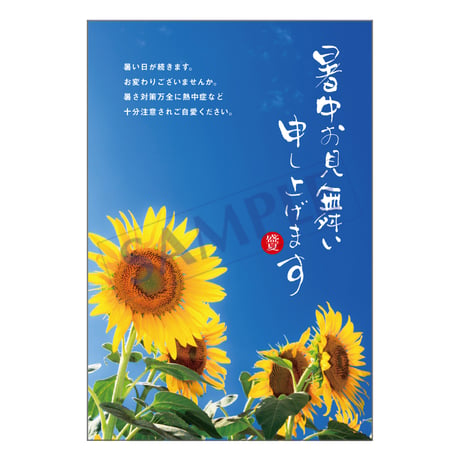 メッセージカード／暑中見舞い／23-1044／1セット（10枚）