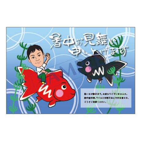 メッセージカード／暑中見舞い／20-0948／1セット（10枚）