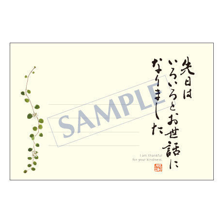 メッセージカード 　出会い・感謝・お祝い・ご挨拶　11-0492　 1セット（10枚）