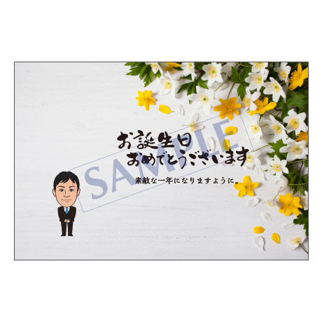 メッセージカード／バースデー／23-1038／1セット（10枚）