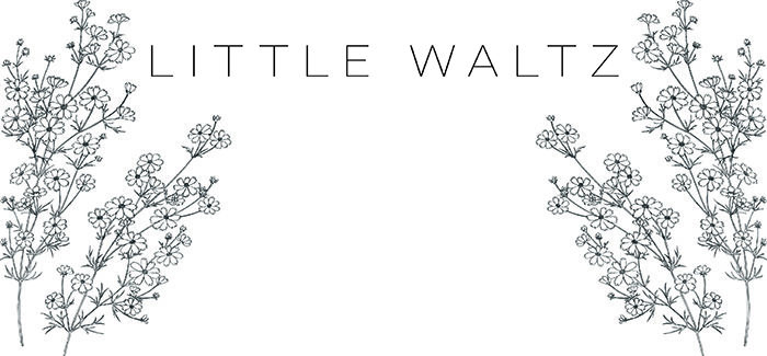 littlewaltz