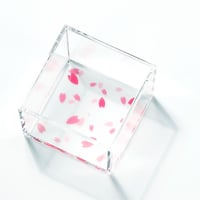 209　HANAMI