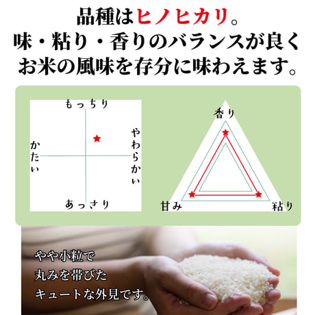 【令和8年産】高千穂産ひのひかり 5kg｜つなぐ棚田遺産認定の棚田米｜標高600m棚田の寒暖差が育てた極上の旨味｜白米・玄米選択可｜産地直送
