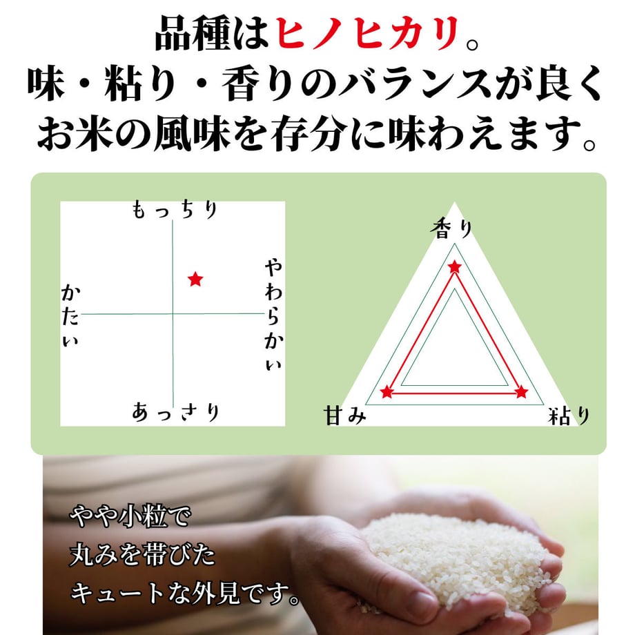 654310241896a10a39349214