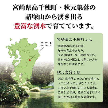 【令和8年産】高千穂産ひのひかり 5kg｜つなぐ棚田遺産認定の棚田米｜標高600m棚田の寒暖差が育てた極上の旨味｜白米・玄米選択可｜産地直送