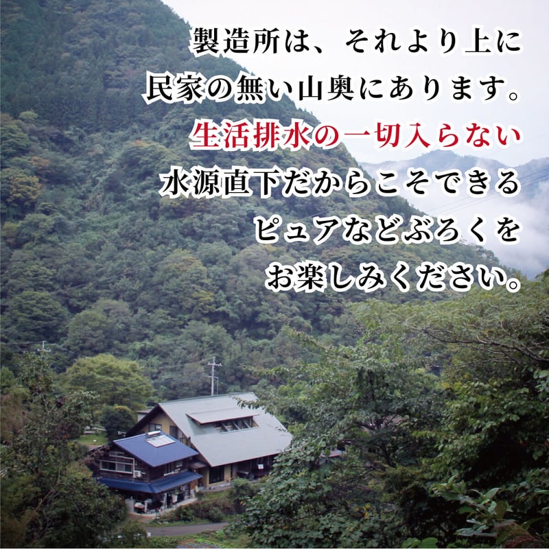 いちぐちともひこ★古酒３本 300ml- 食品・飲料・酒 いちぐちともひこ様専用☆古酒3本
