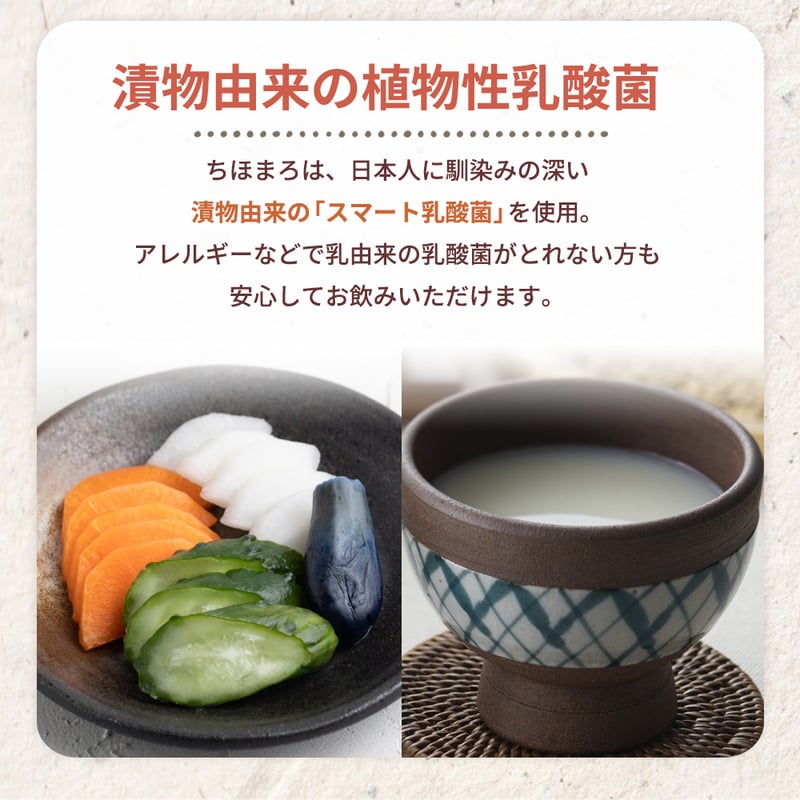 1本で150兆個の乳酸菌】あまざけ＋乳酸菌『ちほまろ へべす味』150g