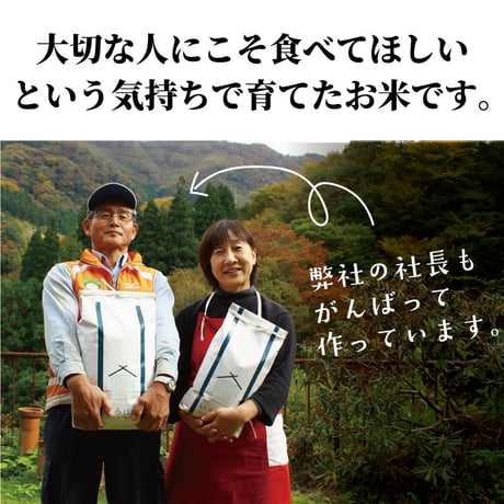 【令和8年産】高千穂産ひのひかり 5kg｜つなぐ棚田遺産認定の棚田米｜標高600m棚田の寒暖差が育てた極上の旨味｜白米・玄米選択可｜産地直送