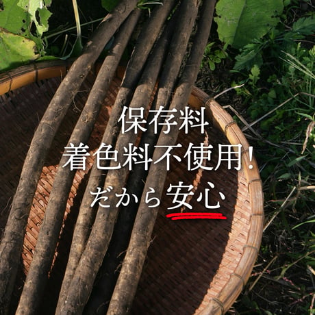 【宮崎空港で大人気】無添加 ごぼうスナック ゴボチ 20g 国産ごぼう 食物繊維 おやつ おつまみ グルテンフリー ヘルシー 罪悪感ゼロ プレーン ピリ辛 ブラックペッパー 宮崎土産 高千穂ムラたび