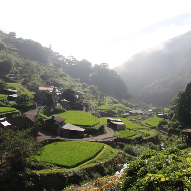 お徳用サイズ】あまざけ＋乳酸菌『ちほまろ』（玄米味） 500g | 【公式