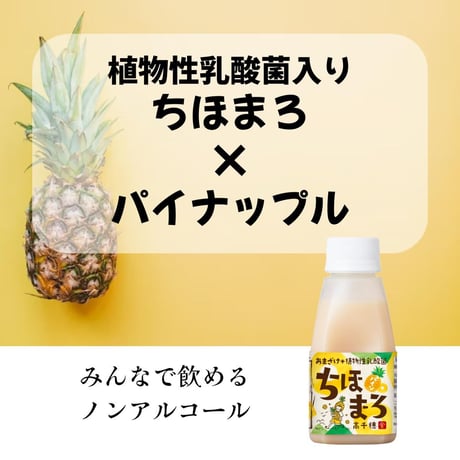 【夏季限定】あまざけ+乳酸菌 ちほまろ（パイナップル）150ｇ×12本セット