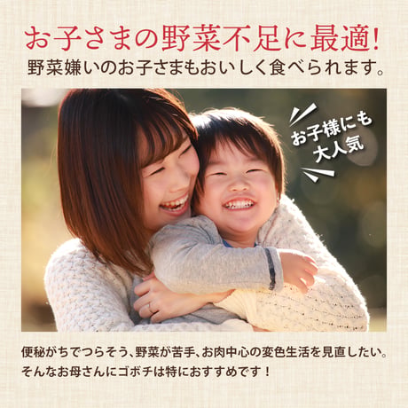 【宮崎空港で大人気】無添加 ごぼうスナック ゴボチ 20g 国産ごぼう 食物繊維 おやつ おつまみ グルテンフリー ヘルシー 罪悪感ゼロ プレーン ピリ辛 ブラックペッパー 宮崎土産 高千穂ムラたび