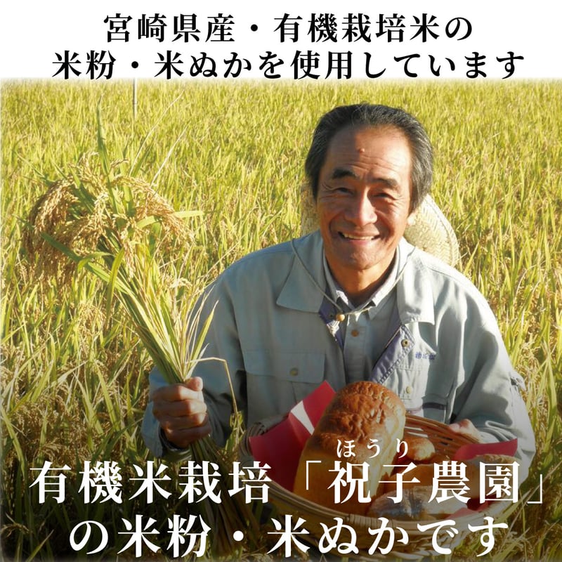 鉄分補給】ひじきせんべい 40g（しそ味）｜グルテンフリー・小麦不使用