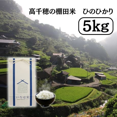 【令和8年産】高千穂産ひのひかり 5kg｜つなぐ棚田遺産認定の棚田米｜標高600m棚田の寒暖差が育てた極上の旨味｜白米・玄米選択可｜産地直送